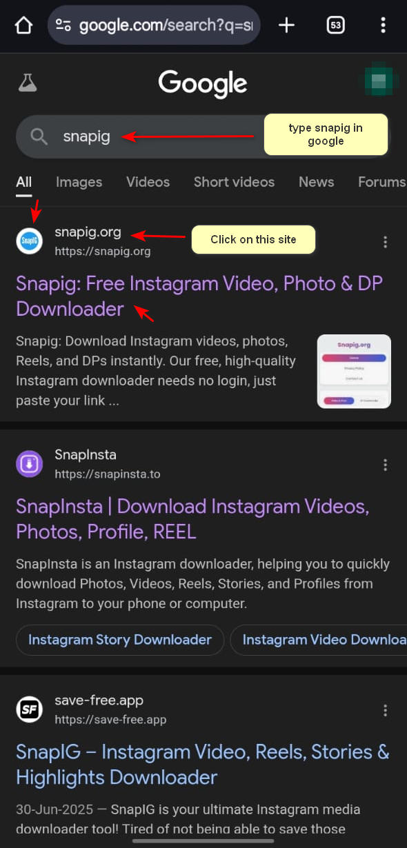Snapig.xyz URL with SSL padlock in browser