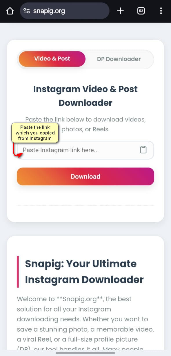 Snapig.xyz interface with pasted Reel URL